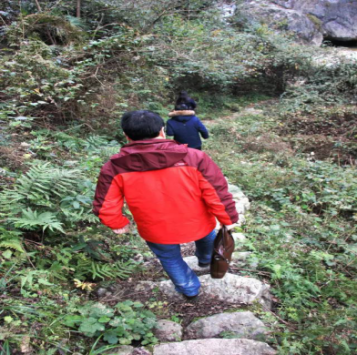 课题组成员